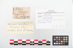 Etiketten zu Beinanhänger (NHMW-PRAE-024170)